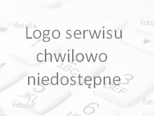 podgląd strony internetowej - miniaturka - logo